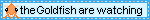 blinkie10.gif
