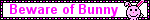 bunny_blink.gif